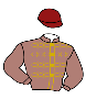 AL SHAQAB RACING yarış forması