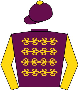 QATAR RACING LIMITED yarış forması