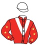 HALİL AKGÖBEK yarış forması