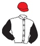 GERMAN RACING CLUB yarış forması