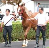 CEVHERTAY