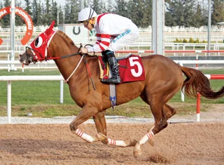 TORAMANKAYA