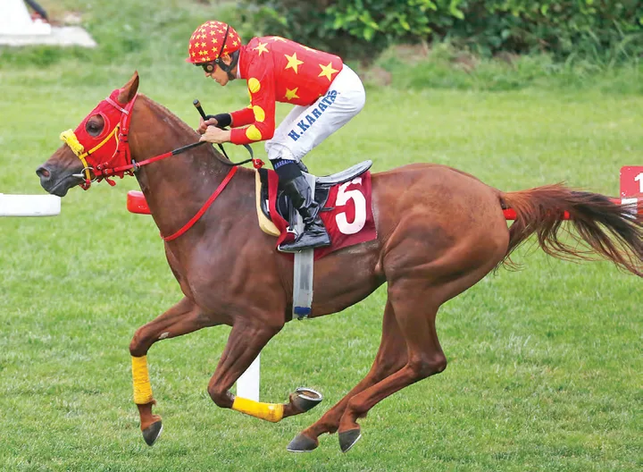 ÖZŞİMŞEK ÖZŞİMŞEK