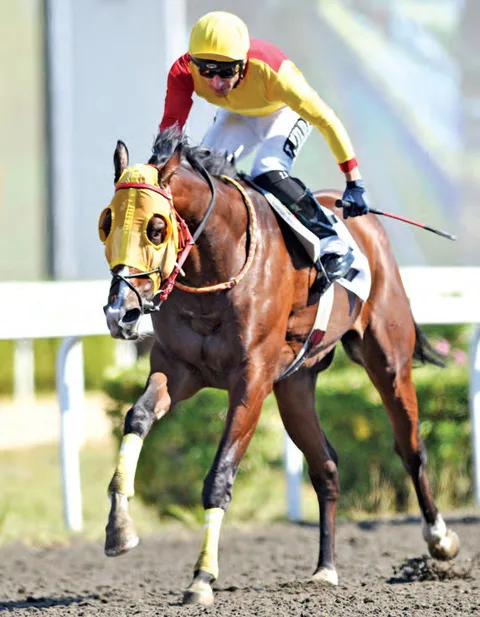 ASCOT ASCOT