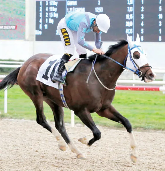 KING FARRIER KING FARRIER