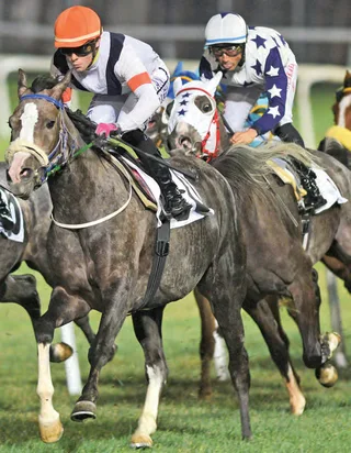 MARLIN (USA)