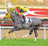 DENİZ EFE