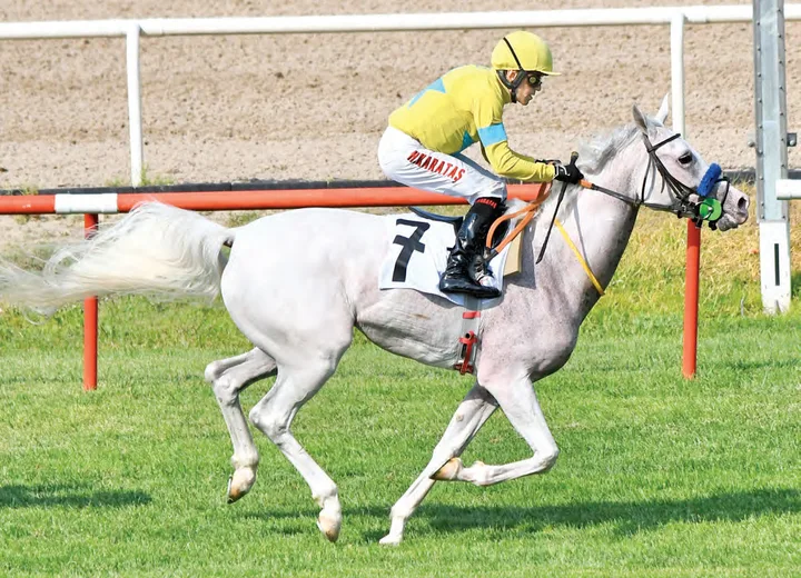 GÖZPINARI GÖZPINARI