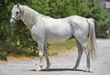 BATURŞAH BATURŞAH