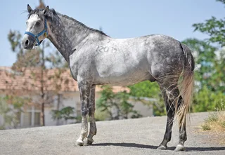 DERYA ATEŞİ