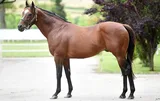 APPROVE (IRE)