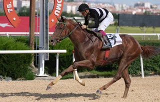 OSMAN BEY