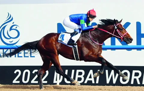 BATHRAT LEON (JPN)