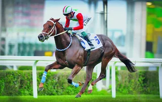EL CONQUERADOR