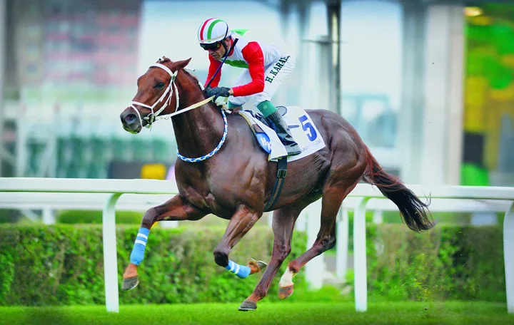 EL CONQUERADOR EL CONQUERADOR