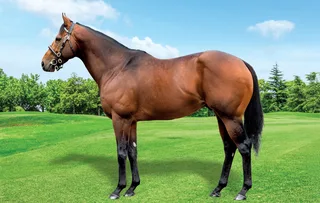 PROFITABLE (IRE)