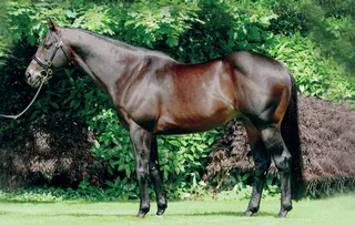 TEN SOVEREIGNS (IRE)