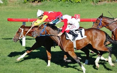 YAPARSIN OĞLUM