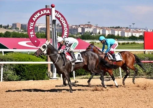 LİNARDO CAN LİNARDO CAN