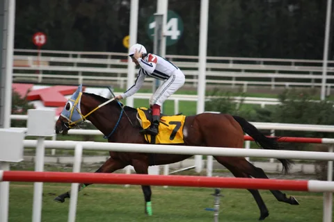 BEŞİKTAŞ BEŞİKTAŞ
