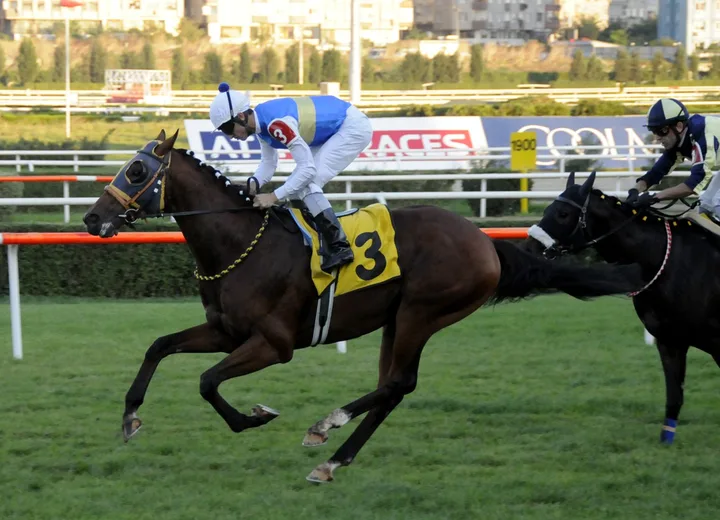 DARK RULER(1) (FR) DARK RULER(1) (FR)