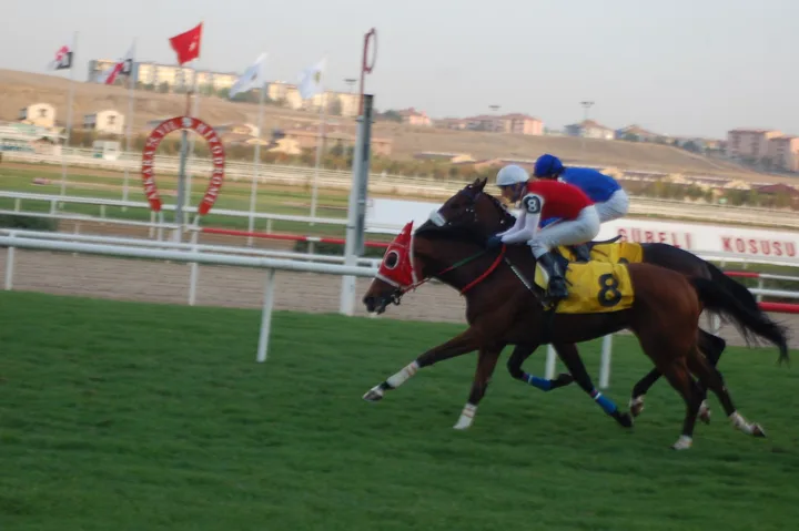 ERAİSER ERAİSER