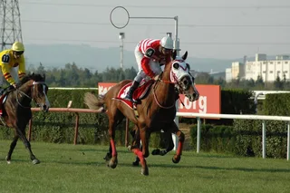 SARUS