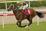 KURTINIADIS(2) (IRE)