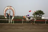 ŞAFAK