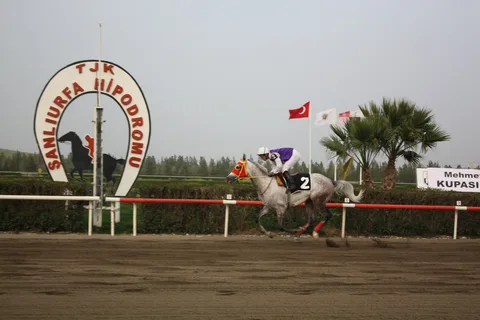 ŞAFAK ŞAFAK