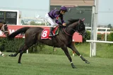 ZİLCİHAN