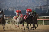 BOĞAZİÇİ BOĞAZİÇİ
