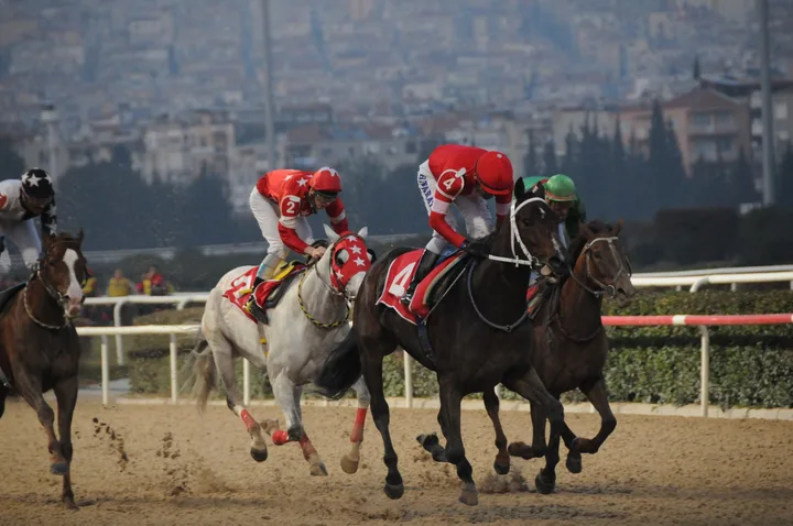 BOĞAZİÇİ BOĞAZİÇİ