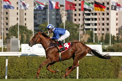 NO RISK AL MAURY(2) (FR) NO RISK AL MAURY(2) (FR)