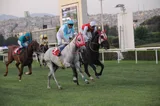 PERS KURYESİ