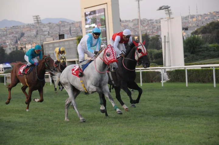 PERS KURYESİ PERS KURYESİ