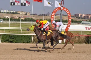 SARAYCAN