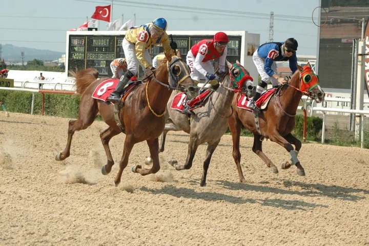 SARPBEY SARPBEY