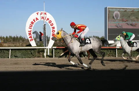 ATEŞHATOĞLU ATEŞHATOĞLU