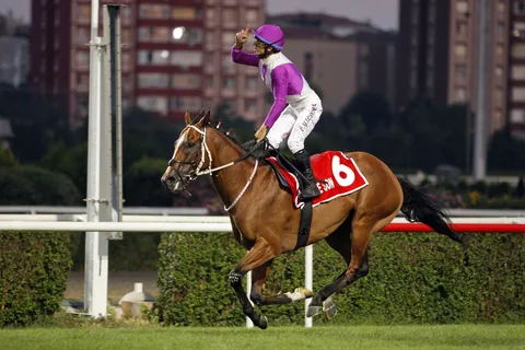 INVINCIBLE SON(9) (IRE) INVINCIBLE SON(9) (IRE)