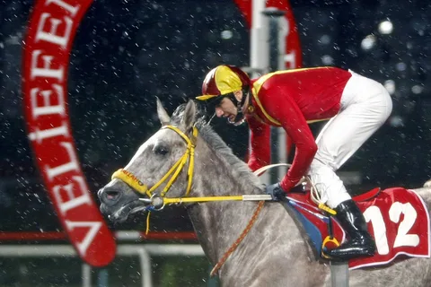 ÖZFİDAN