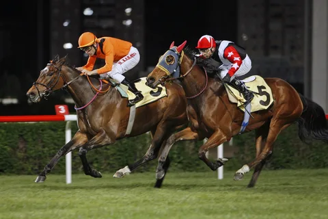 PRINCESS ZAHRA(7) (IRE)