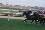STAR OF MELİH