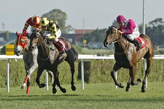 STRONG HOPE (USA)