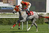 TAPIT GIRL