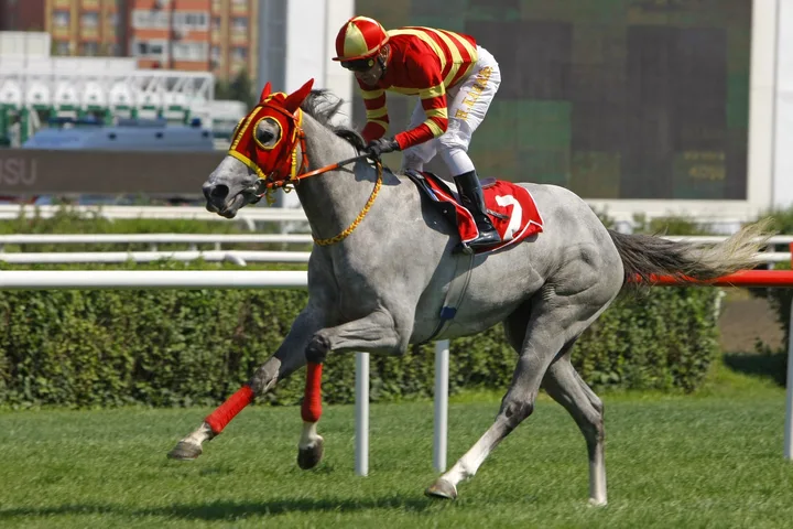 TAPIT GIRL TAPIT GIRL