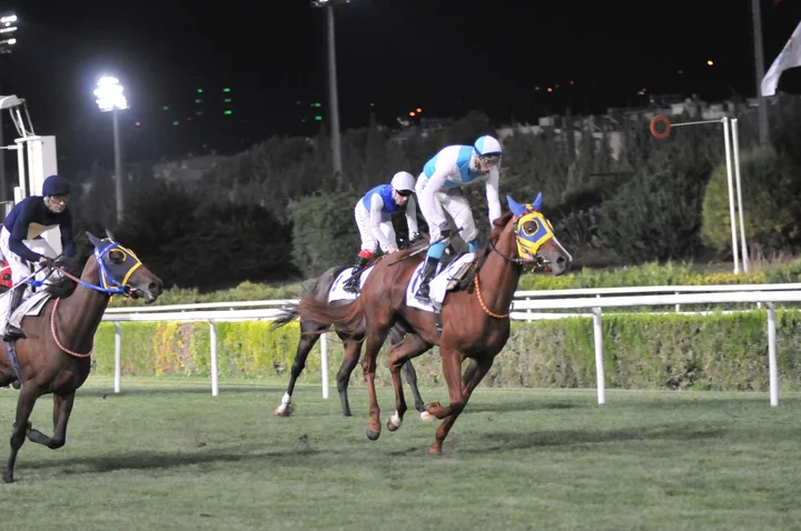 ADİSA ADİSA