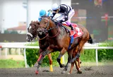 BACHELOR SON(1) (IRE) BACHELOR SON(1) (IRE)