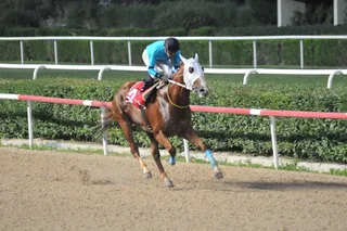 BELMONT