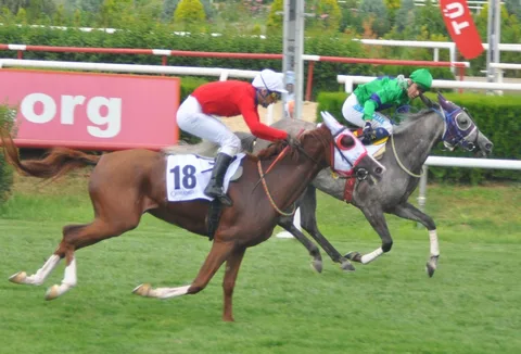 BURHANİYE BURHANİYE